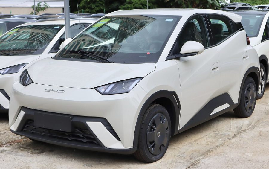 BYD Dolphin Surf 2025