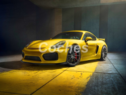 Porsche Cayman GT4 2015