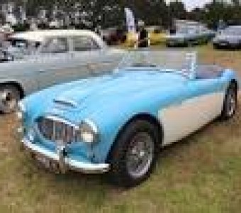 Austin Healey 100  1958