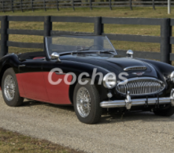 Austin Healey 3000  1961