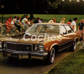 Buick Regal  1975