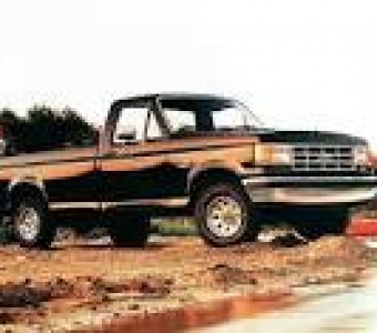Ford F-150  2002