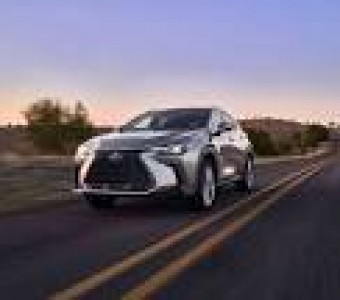 Lexus NX  2021