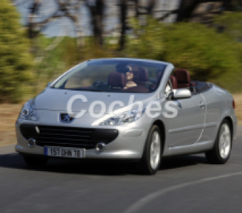 Peugeot 307  2005