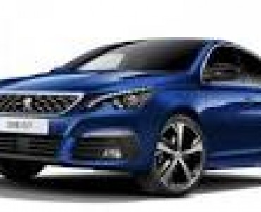 1.6 MANUAL (263 CV)