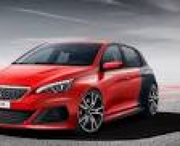 1.6 MANUAL (263 CV)
