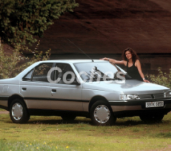 Peugeot 405  1987