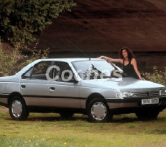 Peugeot 405  1988