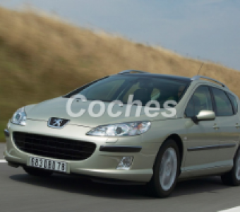 Peugeot 407  2004