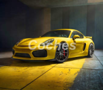 Porsche Cayman GT4  2015