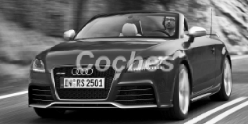 Audi TT RS 2009 Roadster II (8J) 2.5 MANUAL (340 CV) 4WD