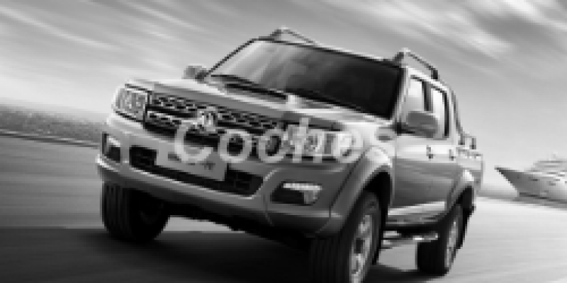 DongFeng Rich 2016 Pickup Double Cab II 2.5d MANUAL (116 CV) 4WD
