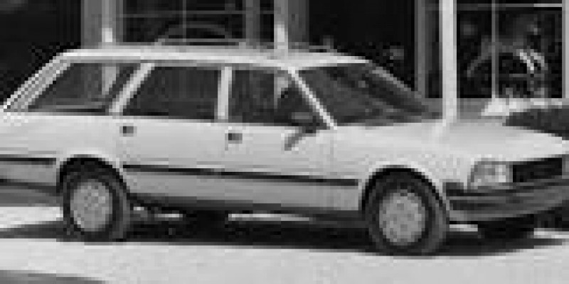 Peugeot 505 1987 Wagon 5-Puertas 505 2.5d MANUAL (75 CV)