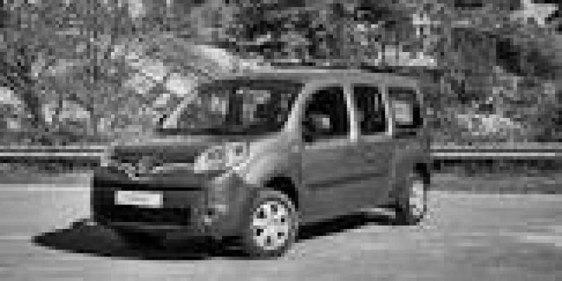 Renault Kangoo 2016 Van II Restyling 1.5d MANUAL (75 CV)