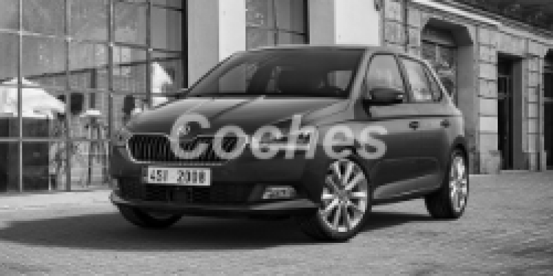 Skoda Fabia 2019 Hatchback 5-Puertas III Restyling 1.0 AUTOMATICO (110 CV)