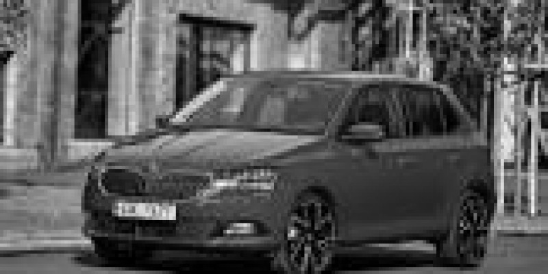 Skoda Fabia 2019 Hatchback 5-Puertas III Restyling 1.0 MANUAL (60 CV)