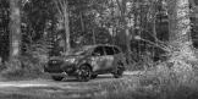 Subaru Forester 2021 SUV 5-Puertas V Restyling 2.0hyb CVT (145 CV) 4WD